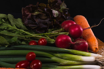 raw vegetables for salad