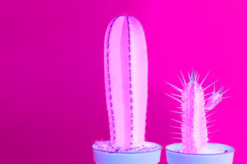 Trendy tropical Neon Cactus plant on Pink Color background. Minimal Art Concept. Creative Style.