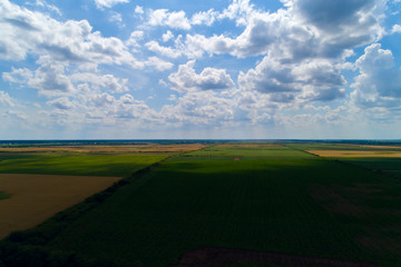Fototapeta premium Dark Field with Clouds
