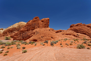 Fototapeta premium Valley of Fire State Park, Nevada, United States 