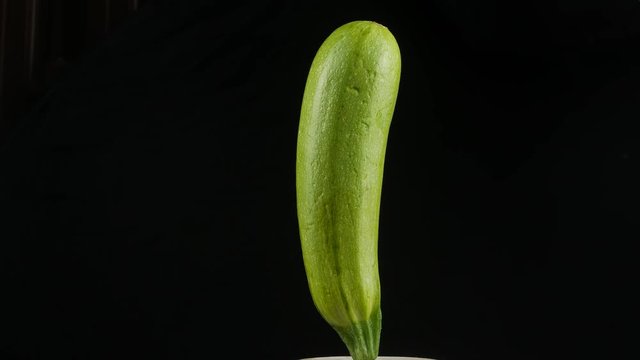 fresh green zucchini