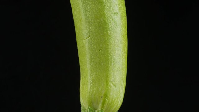 fresh green zucchini