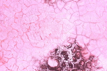 dry mos on cement color texture,abstract background with effect color