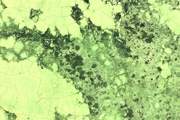 dry mos on cement color texture,abstract background with effect color