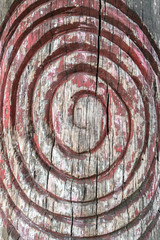 Spiral symbol engraved on the bark of a tree