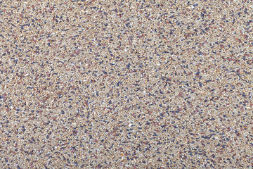 Many seeds of different varieties mixed.