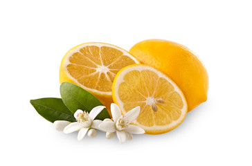 Lemons with leaves and blossom on the white background