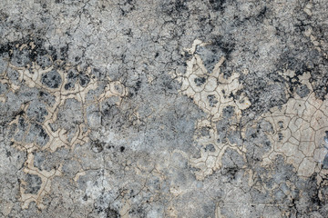 Concrete floor