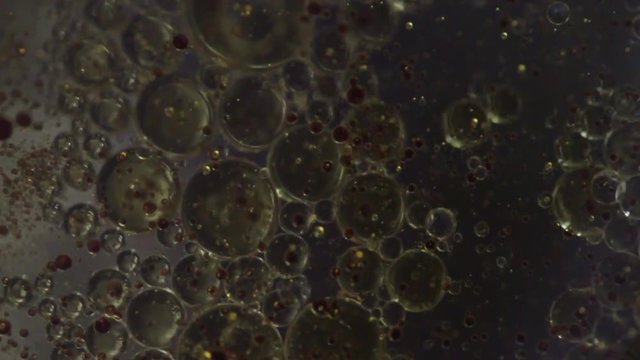Burbujas abstractas de aceite movi&eacute;ndose