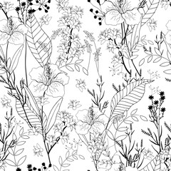 Seamless floral Contour Page hand drawn zentangle design element. Vector. Antistress Coloring page isolated on white background.