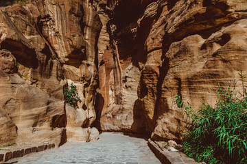 The Siq is the ancient main entrance leading to the UNESCO world heritage site of Petra, Jordan. It starts at the Dam and ends at the opposite side of the vault.