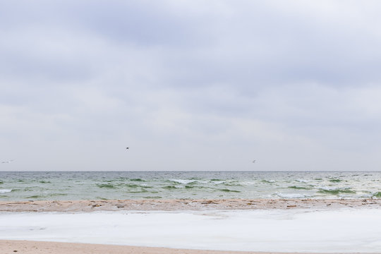Peaceful landscape of the snowy beach of the rough Baltic Sea under the blue sky in winter.