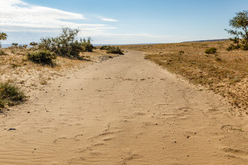 dried river, sand channel, beautiful landscape of the Gobi desert, Mongolia.