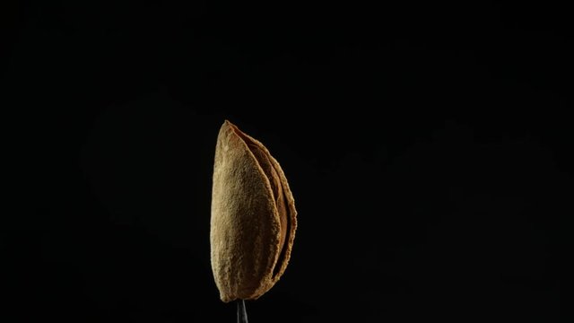 Almond nut in shell and shelled
