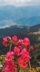 Smartphone HD wallpaper of beautiful alpine view at Schmittenhoehe - Zell am See - Tyrol - Austria
