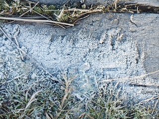 Frost on moss and distressed wood textured background
