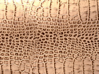Smooth yellow snake skin with characteristic natural pattern