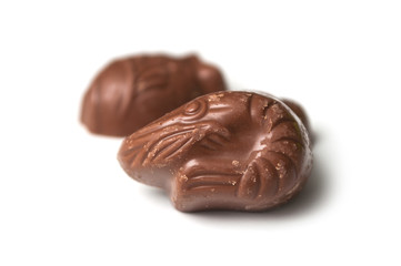 Closeup of milk chocolate in shaped of animals on white background
