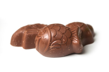 Closeup of milk chocolate in shaped of animals on white background