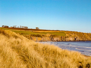 Fototapeta premium landscape with river and blue sky