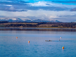 boats on lake