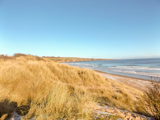 Fototapeta na wymiar dunes and sea