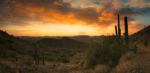 A panorama featuring a sunset in the desert outside of Phoenix, AZ.  This image looks to the west with saguaro cactus and mountainous desert terrain.