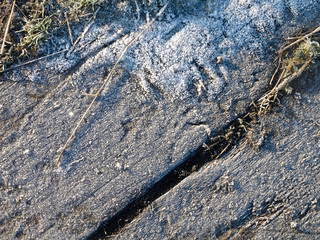 Frost on moss and old wood textured background