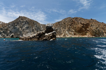 Wycieczka łodzią do Łuku na Cabo San Lucas © Miroslaw