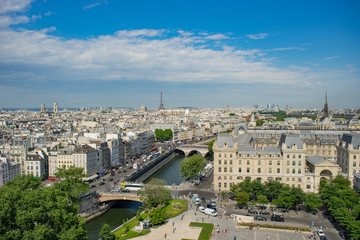 Paris overview from the top of Notre Dame