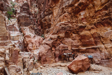 Hicking through Petra's Canyon and Mountains