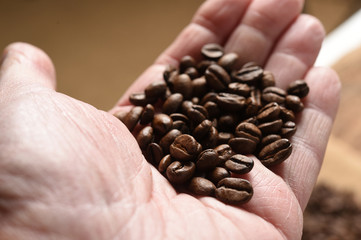 Close up of coffee beans