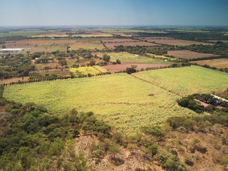 Fototapeta na wymiar Agricultural green fields
