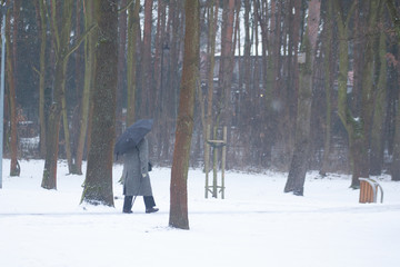 Człowiek pod parasolem spacerujący po zaśnieżonym parku