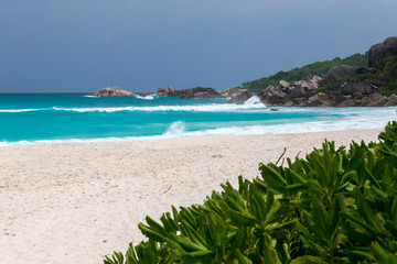 White sand beach and a seascape with waves some green plants and rocks