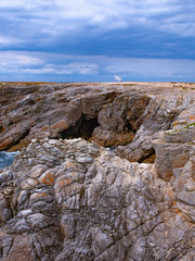 france; brittany; Quiberon :  cliffs, seagulls and clouds