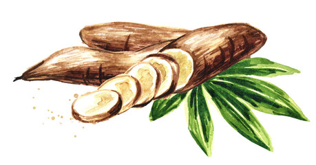 Cassava root, tuber, leaf and slices. Manihot esculenta. Watercolor hand drawn illustration isolated on white background