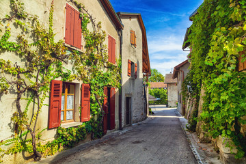 Fototapeta na wymiar Houses covered in Ivy in medieval french town Yvoire