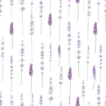 Lavender watercolor seamless pattern. Hand painted watercolor blooming lavender branches on white seamless background.