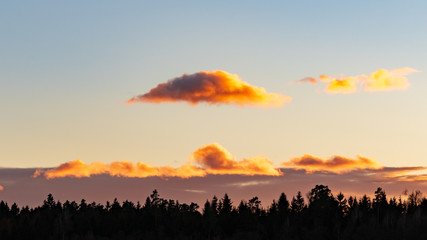 Sunset over forest with dramatic sky