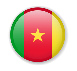 Cameroon flag round bright icon on a white background