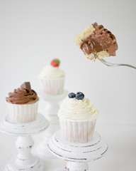 Chocolate and vanilla cupcakes on white background