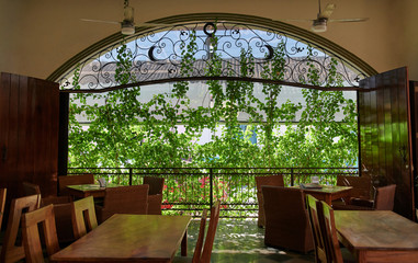 Big window with green leafs