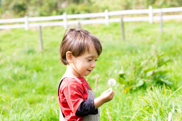 Happy boy blowing dandelion