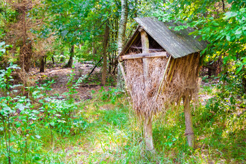Wooden feeder with hey in th forest for wild animals