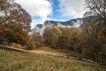 Stormy sky on the mountains. Autumn forest