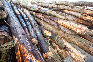 large pile of raw, old logs and firewood