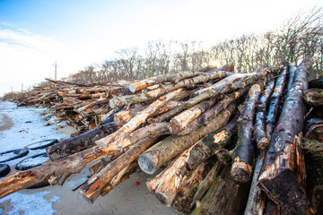 Fototapeta na wymiar large pile of raw, old logs and firewood
