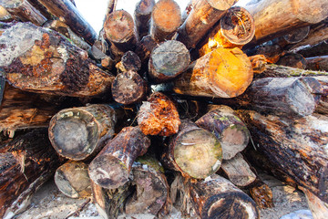 large pile of raw, old logs and firewood, background, texture