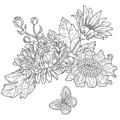 chrysanthemum drawn flowers black white vector